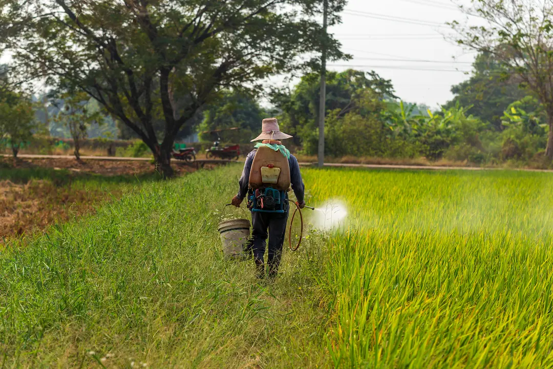 Chlorpyrifos Exposure